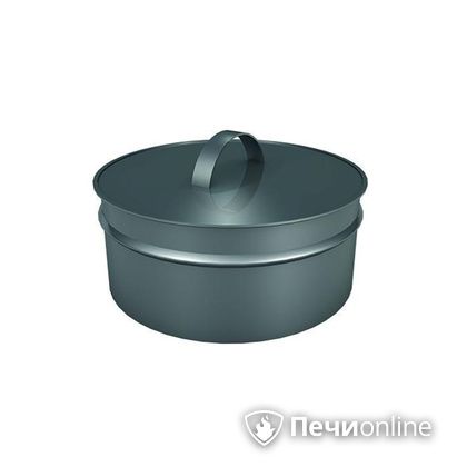 Заглушки Теплов и Сухов Заглушка ревизии Термо-Р 304 0.5 D300(200) в Кемерове
