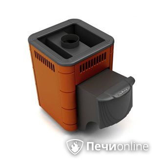 Дровяная банная печь TMF Оса Carbon терракота дверь антрацит в Кемерове